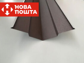 Ендова нижняя